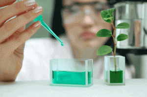 Herbal Product Testing 1 Herbal Testing Laboratory